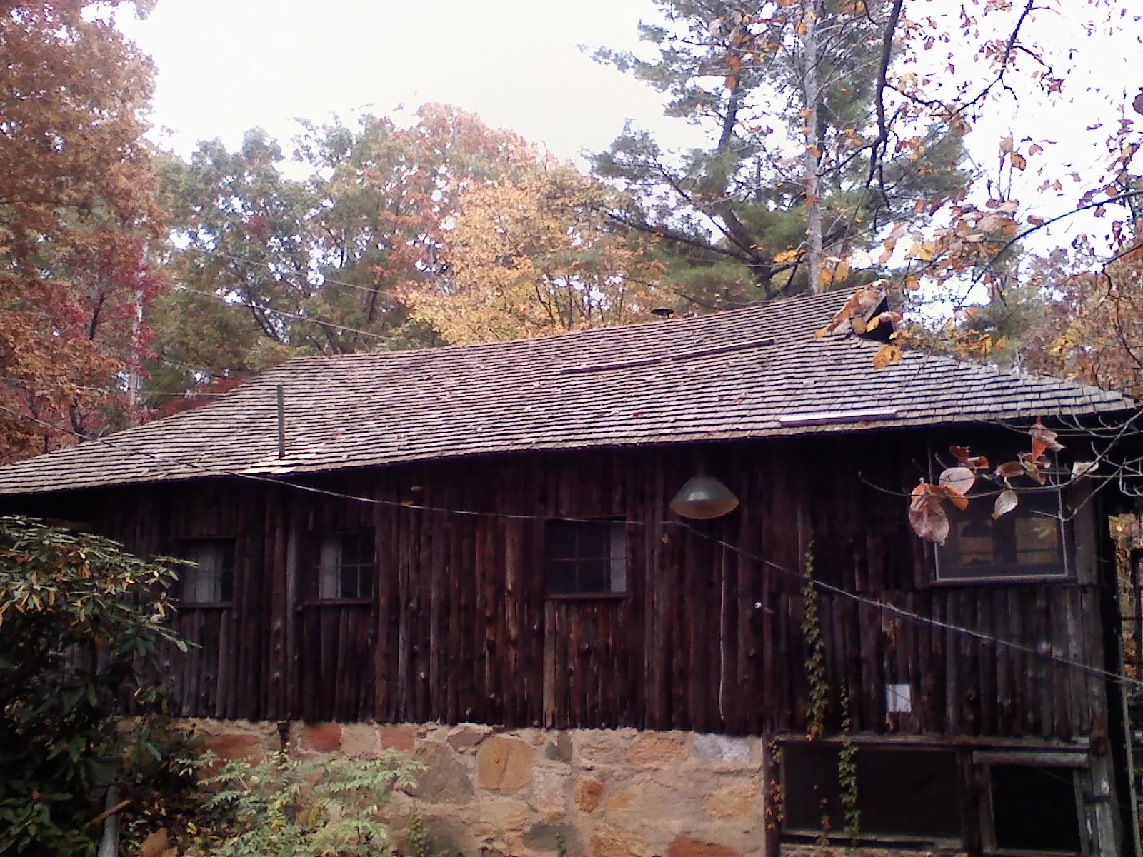 Weathered wood shake roof on a rustic board sided cabin in Stockdale